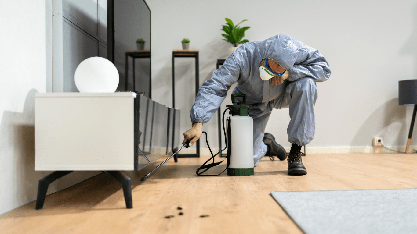 Professionelle Schädlingsbekämpfung im Einsatz